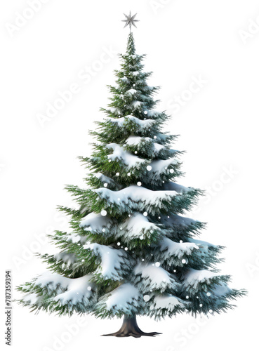 PNG Christmas tree plant white