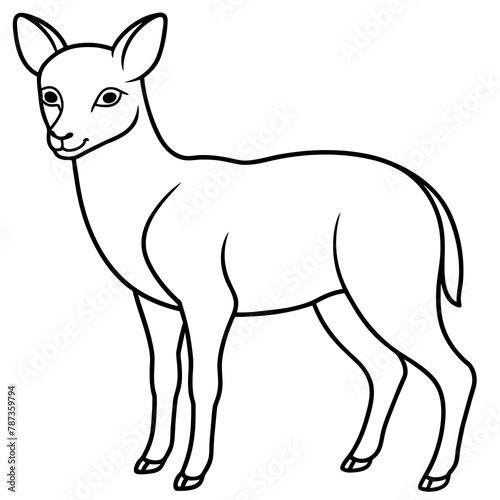 vector illustration animal