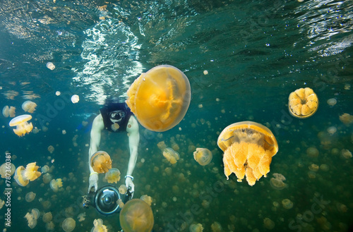Underwater photographer snorkeling in Jellyfish lake, Palau.
