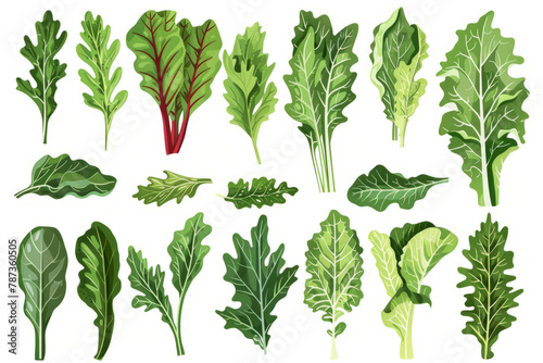 abundance of leafy greens in plant foods, demonstrating the versatility and bounty of nature. photo