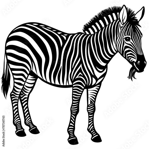 zebra-is-eat vector design 
