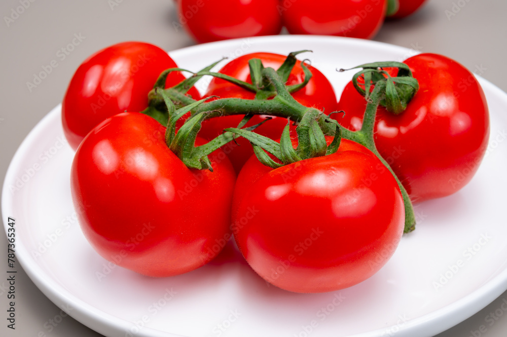 Red ripe tasty Dutch tomatoes growing indoor in greenhouse all seasons, food industry in Netherlands close up Red ripe tasty Dutch tomatoes growing indoor in greenhouse all seasons, food industry in Netherlands close up