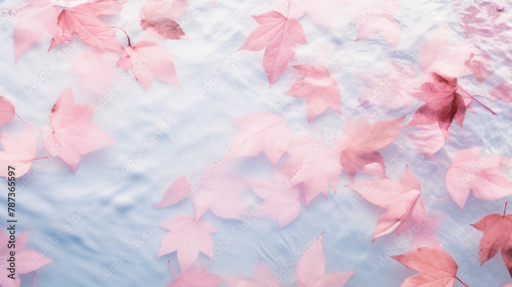 Pink leaves on the surface of the water. Beautiful background with water ripples for product presentation. Summer refreshing background. Pink leaves on the surface of the water. Beautiful background with water ripples for product presentation. Summer refreshing background.