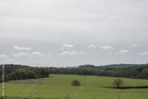 view across the South Downs National Park in Hampshire Southern England
