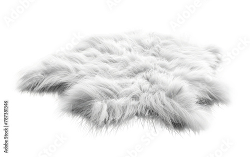Snowy Fur Coat , White fur isolated on Transparent background.