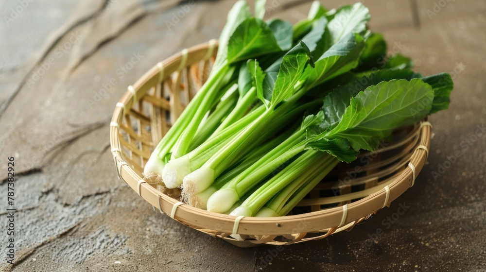 Udo, a spring vegetable, shown freshly picked with its spears and leaves, a rare find outside of Japan, on an earthen background Udo, a spring vegetable, shown freshly picked with its spears and leaves, a rare find outside of Japan, on an earthen background