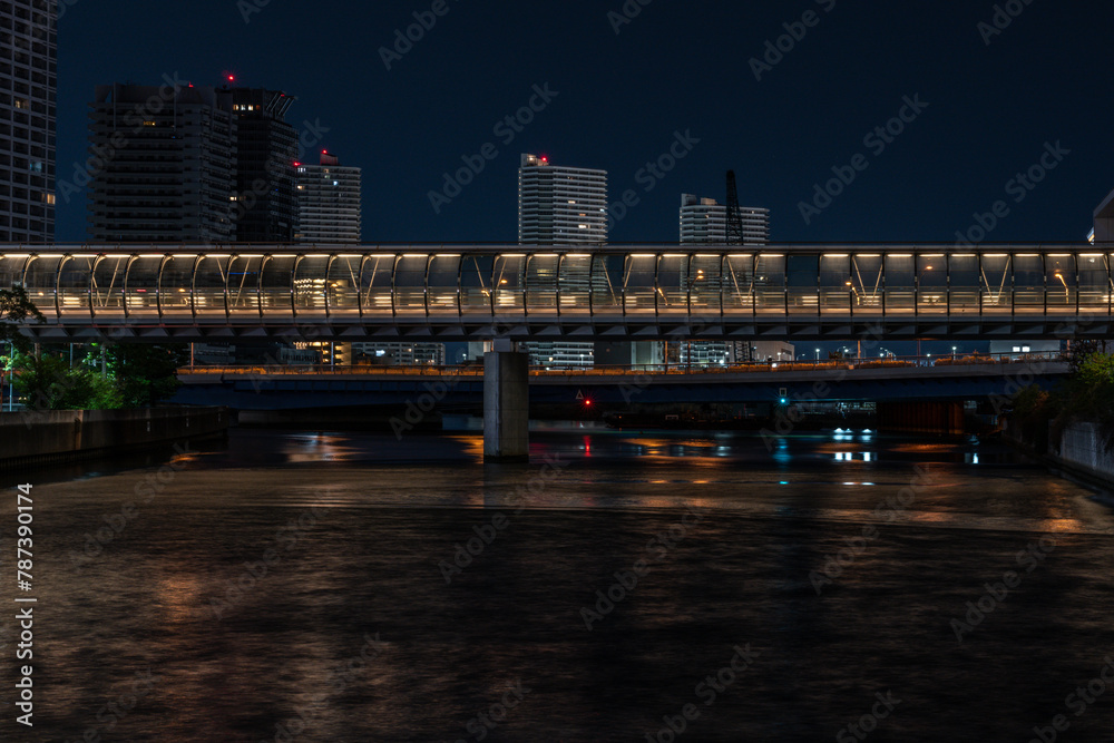 Obraz premium city skyline at night