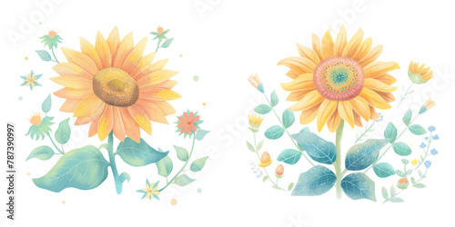 cute sunflower watercolour vector illustration