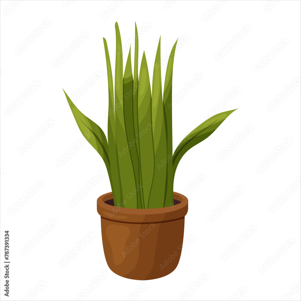 Vector illustration of a potted houseplant with leaves Vector illustration of a potted houseplant with leaves