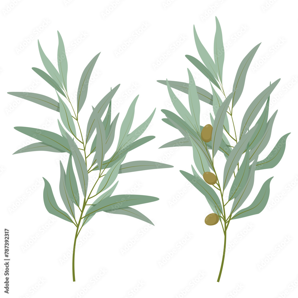 Set of olive branches with olives and leaves