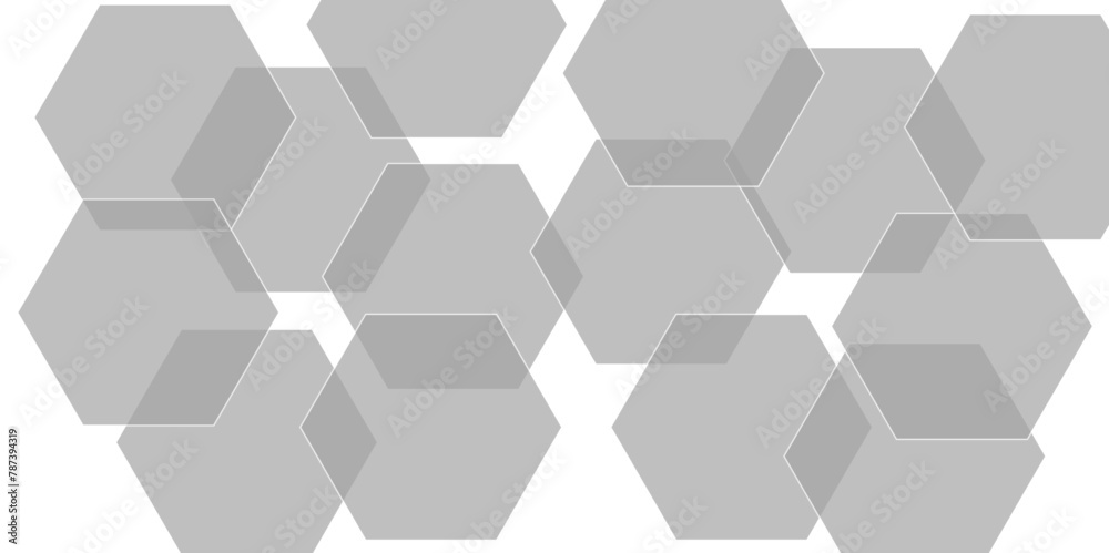 Abstract gray hexagon and hexagonal lines on white background. abstract 3d hexagonal background with shadow. Vector illustration. Hexagonal honeycomb pattern background with space for text. Abstract gray hexagon and hexagonal lines on white background. abstract 3d hexagonal background with shadow. Vector illustration. Hexagonal honeycomb pattern background with space for text.