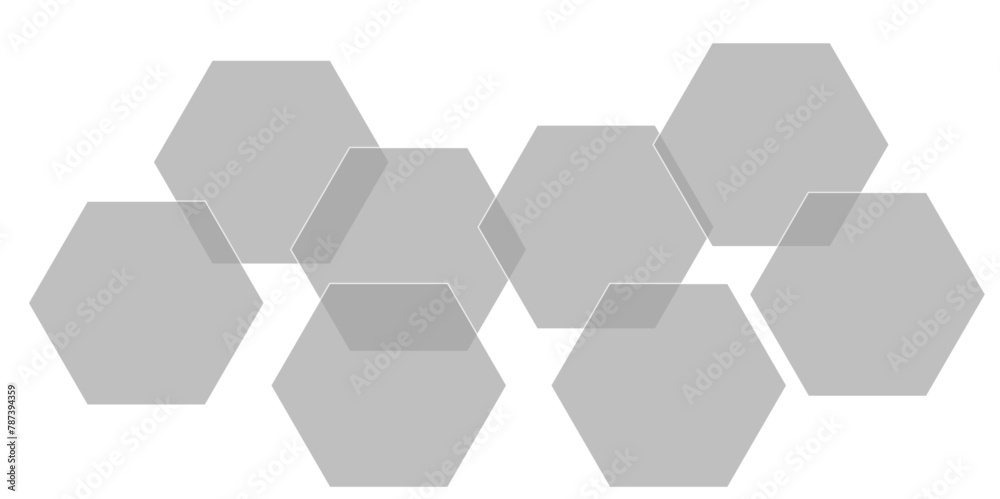 Abstract gray hexagon and hexagonal lines on white background. abstract 3d hexagonal background with shadow. Vector illustration. Hexagonal honeycomb pattern background with space for text.