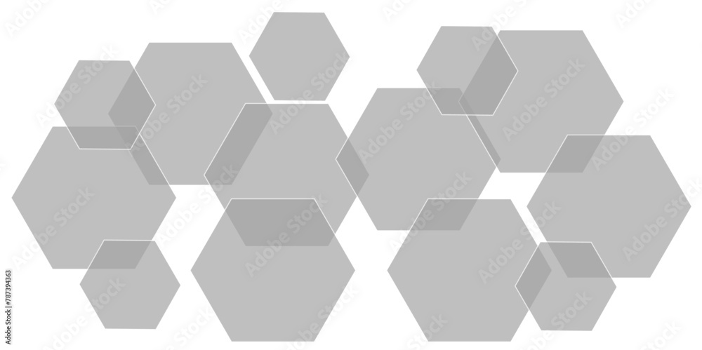 Abstract gray hexagon and hexagonal lines on white background. abstract 3d hexagonal background with shadow. Vector illustration. Hexagonal honeycomb pattern background with space for text.