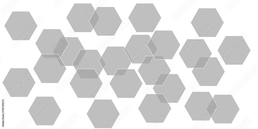 Abstract gray hexagon and hexagonal lines on white background. abstract 3d hexagonal background with shadow. Vector illustration. Hexagonal honeycomb pattern background with space for text. Abstract gray hexagon and hexagonal lines on white background. abstract 3d hexagonal background with shadow. Vector illustration. Hexagonal honeycomb pattern background with space for text.