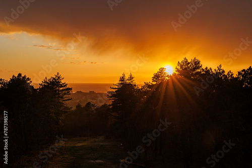 View between the trees from a house at the dune onto the Dutch seaside resort of Bergen aan Zee, the sea and an offshore wind farm on a stormy day with a cloudy sky at sunset