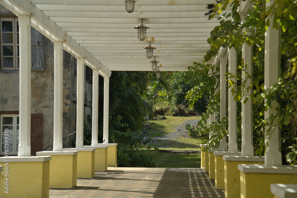 Fototapeta premium St. George Village Botanical Garden