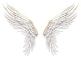 PNG Angel bird wing transparent background