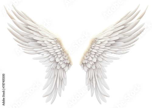 PNG Angel bird wing transparent background