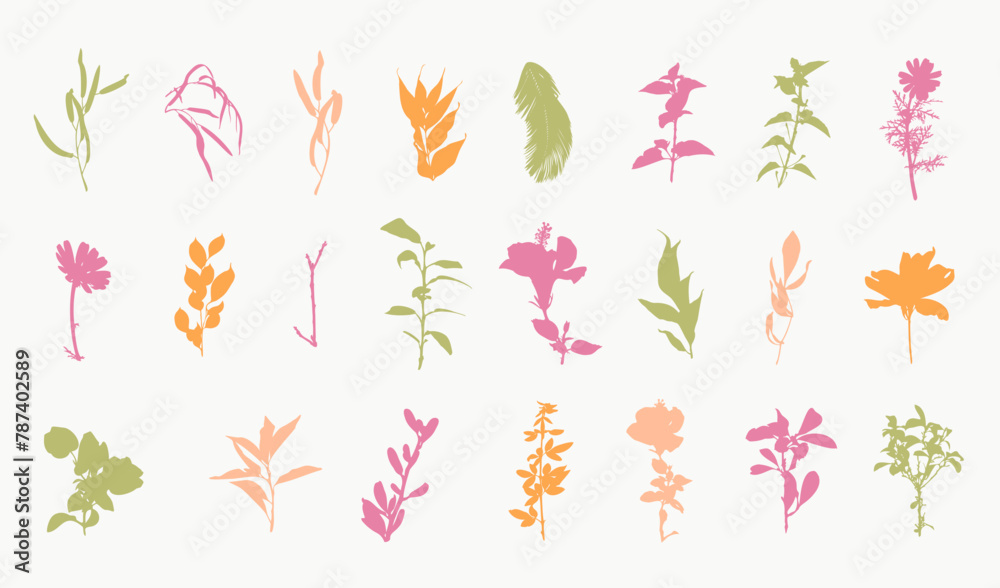 Tropical Floral Silhouettes Set Hand Drawn Plants