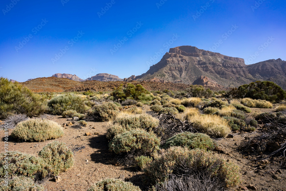 Teide National Park desert in Tenerife island