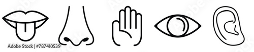 Human sense icons. Five human senses icons. Vision smell hearing touch taste senses fillings. Five fillings icons. Vector Illustration. Vector Graphic. EPS 10 . White background