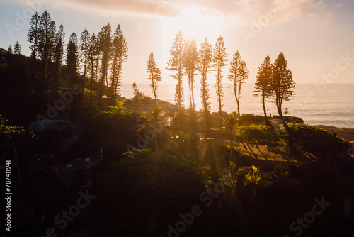 Scenic coastline with silhouette of trees and sea at warm sunrise in Brazil. Aerial view