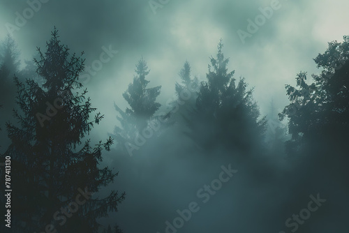 Mystical Autumn Fog in Black Forest, Germany - Enchanting Landscape with Rising Fog, Autumnal Trees, and Firs © john