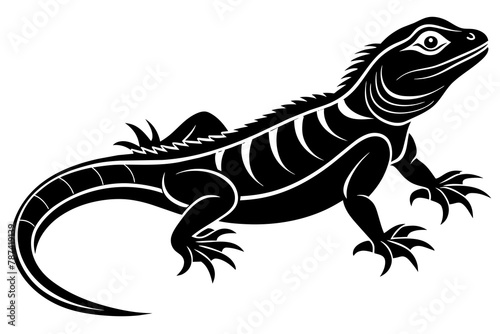 Lizard silhouette vector style white background