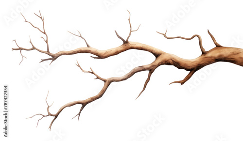 PNG Antler wood driftwood textured