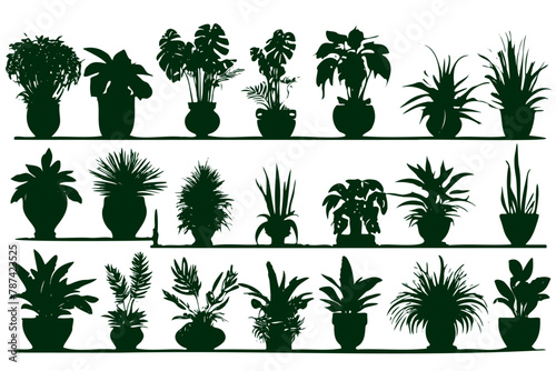 A row of potted plants are lined up on a shelf. The plants are all different sizes and shapes, but they all have one thing in common: they are all green photo