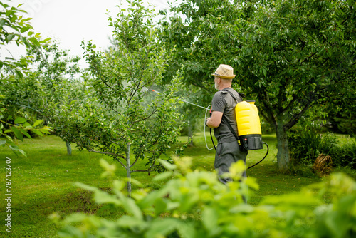 Middle age gardener with a mist fogger sprayer sprays fungicide and pesticide on bushes and trees. Protection of cultivated plants from insects and fungal infections.
