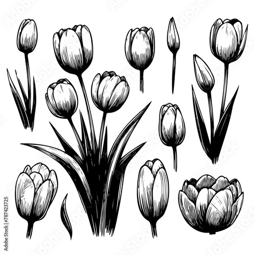 A set of black and white flowers with stems. The flowers are arranged in a row and are all different sizes © Екатерина Переславце