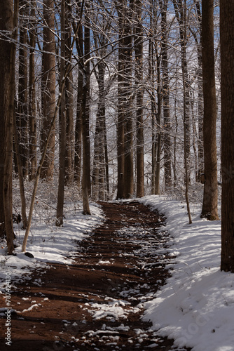 Such a pretty winter scene in a wooded area. White powdery snow lays all around. A brown path cuts through the woods. The brown trees lay on both sides without leaves on limbs showing a cold season.  