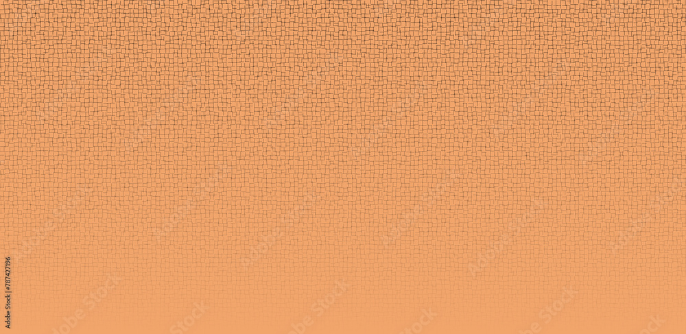 Fototapeta premium grid distortion background