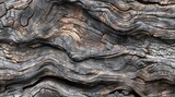 seamless texture of driftwood with a weathered, greyish-brown surface, showcasing the natural textures and grooves