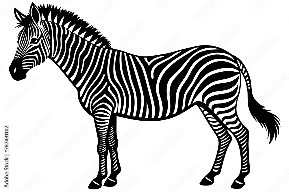Fototapeta premium Zebra Silhouette vector illustration white background