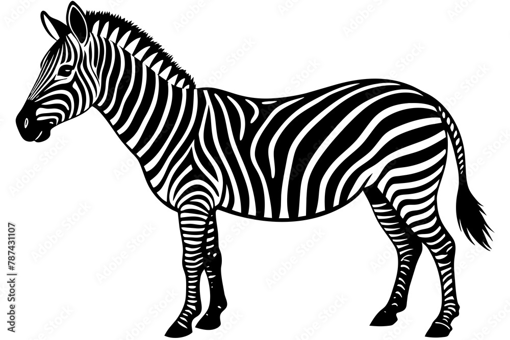 Fototapeta premium Zebra Silhouette vector illustration white background