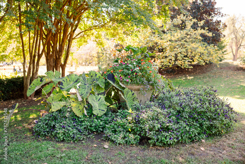 A beautiful scenery in a garden with elephant ears, flowering plants, and tall trees against a soft sunlight background.