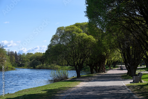 Alley in the Kuopio park (Finsky park) near Pskova river in Pskov in sunny spring day, Russia