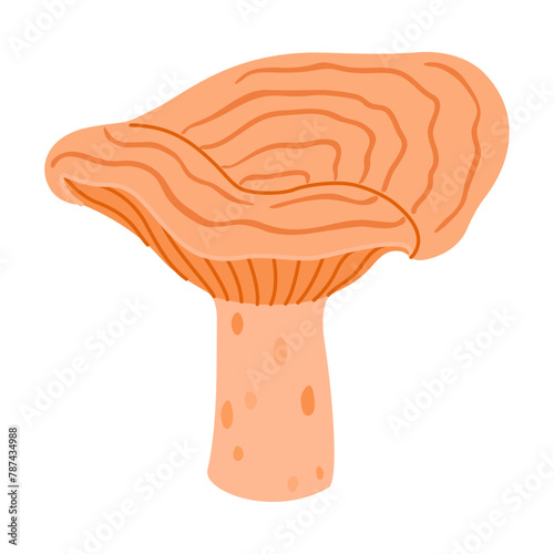 Saffron milk cap. Edible forest mushroom flat icon. Hand Drawn delicious milk cap. Fungus Group Engraved. Red pine mushroom Isolated on white background. Vector illustration