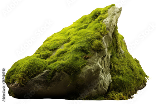 PNG Rock moss rock plant