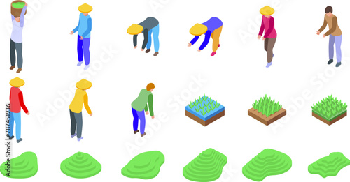 Green paddy terraces icons set isometric vector. Farm field. Cascade mount