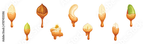 Nut Edible Seed with Dripping Chocolate or Caramel Melting Liquid Vector Set