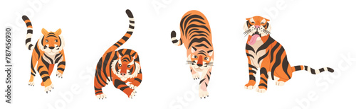 Tiger Predator Jungle Animal with Striped Coat Vector Set