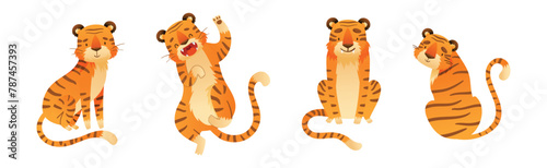 Funny Tiger Predator Jungle Animal with Striped Coat Vector Set