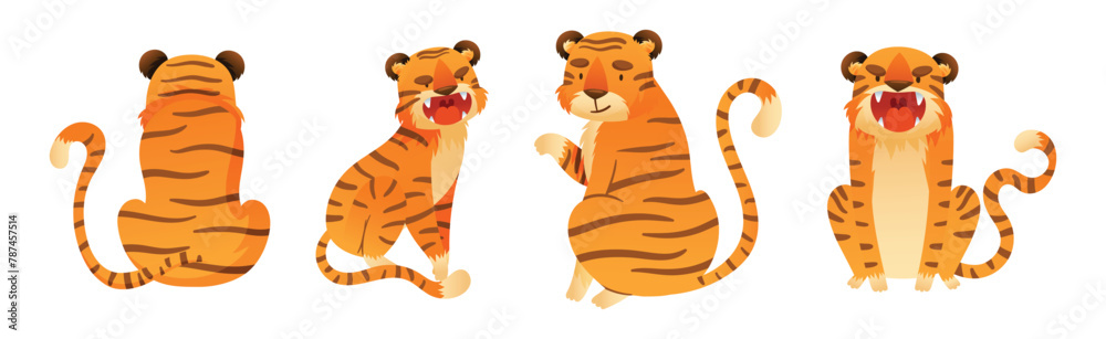 Funny Tiger Predator Jungle Animal with Striped Coat Vector Set Funny Tiger Predator Jungle Animal with Striped Coat Vector Set