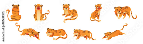 Funny Tiger Predator Jungle Animal with Striped Coat Vector Set