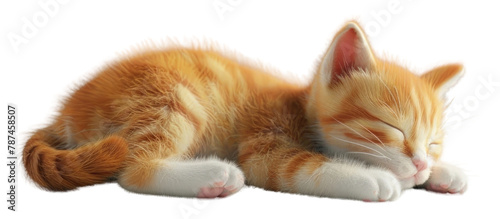 PNG Happy cute kitten sleep animal mammal pet.