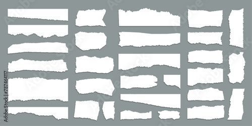 Set of Torn Paper Pieces on Gray Background