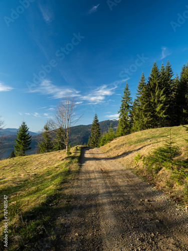 mountains in spring. Carpathians Ukraine
